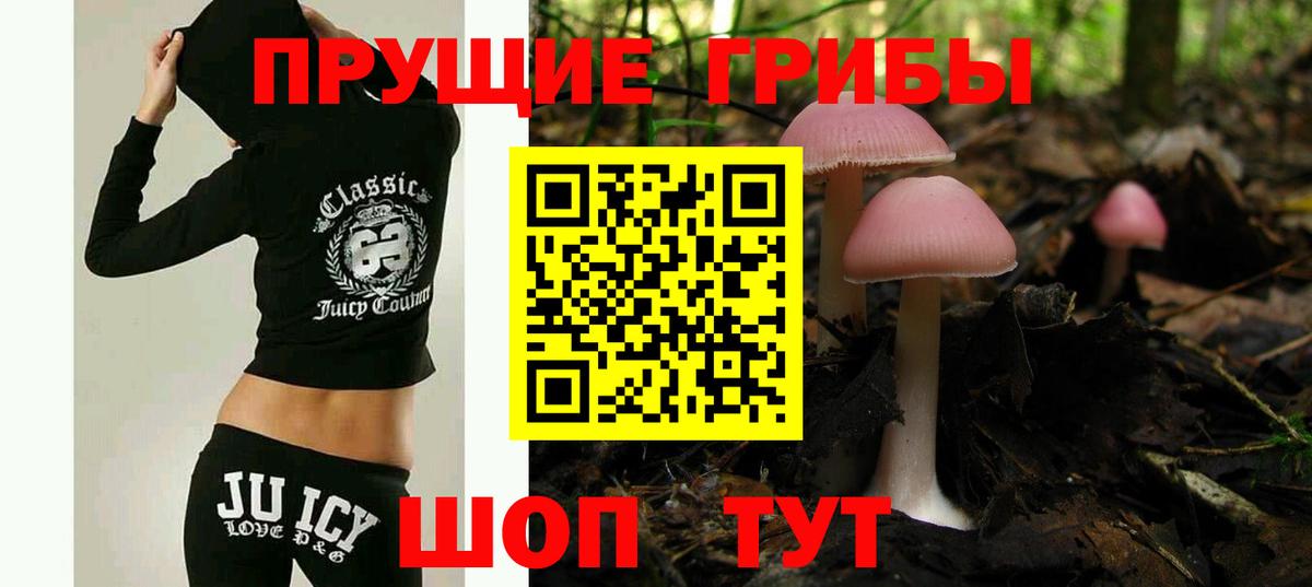 Галлюциногенные грибы Psilocybine cubensis  Вход с VPN  Торжок 